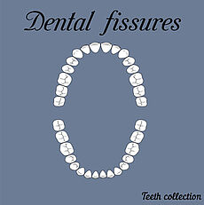 Bild dental Fissuren